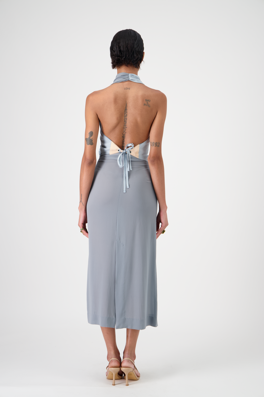LENNA silk crêpe high-waisted mid-length skirt, back view on model